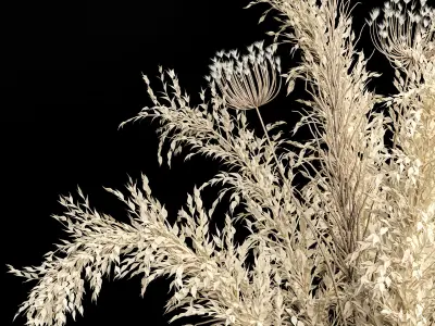 Dried flowers 01 3D model