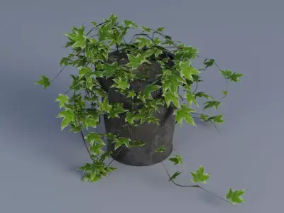 Plant pot Low-poly 3D model buy