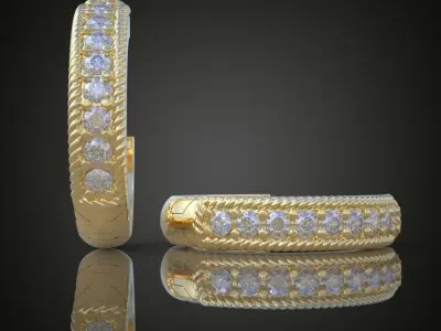 Exclusive Earrings model 3D printable model 0117-9ol 3D print model