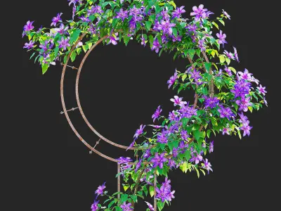 Clematis on trellis 3D model