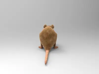 Mouse rat 3D model