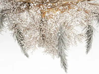 Hanging Installation Bouquet Dried Flowers pampas gypsophila 571 3D model