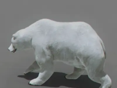 Pack - Mammals 3D model