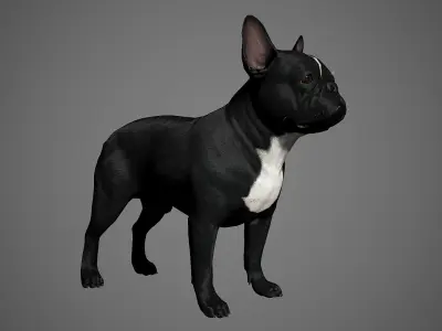 French Bulldog Real-Time Low-poly 3D model