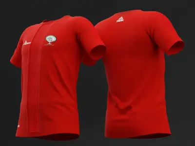 Palestine 2022  Home Jersey Free 3D model