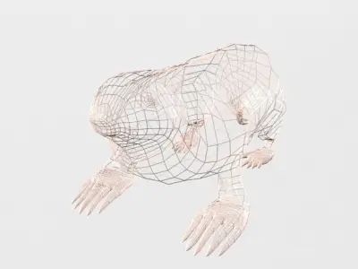 Pink Armadillo Low-poly 3D model