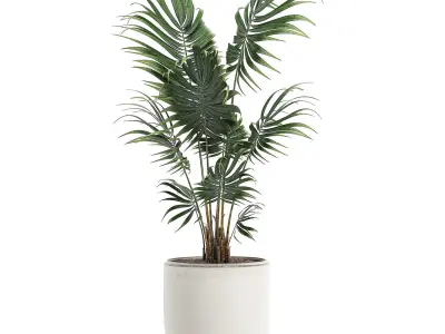 Decorative palm in a white flowerpot 519 3D model