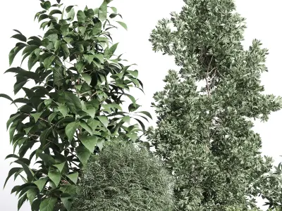 Outdoor plant Collection 113 stand plant box 3D model