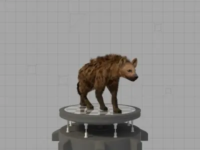 Hyena 3D model
