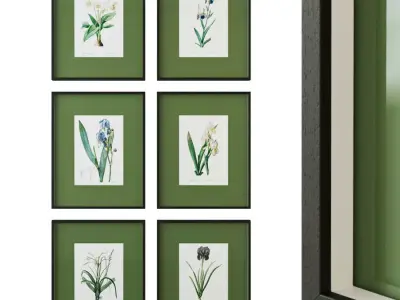 Floral posters with green passe-partout 3D model