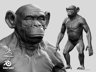 Chimpanzee 3D model buy