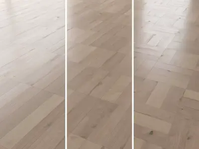 Parquet Oak Vergne Brushed set 3 3D model
