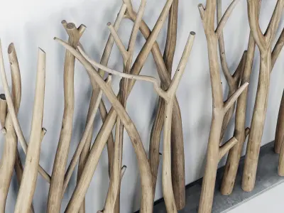 Branch old screen n1 3D model