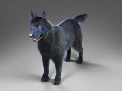 Fur Black Dog NO Rig Low-poly 3D model