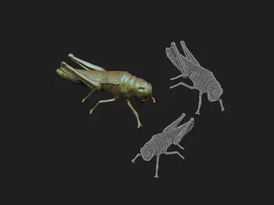 grasshopper 3D print model