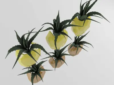 Pineapple flower set  Free 3D model