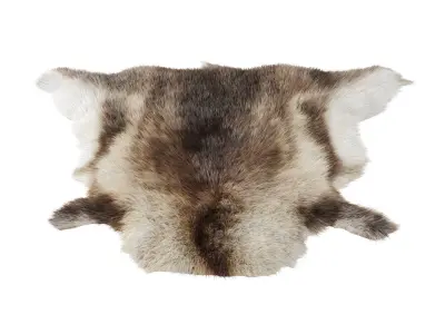 Reindeer skin carpet 3D model
