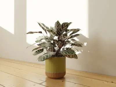 Lime colored ceramic terracotta pot Free low-poly 3D model