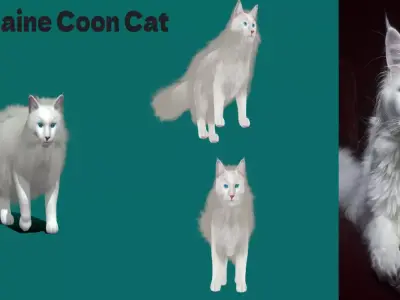 Maine Coon Cat 3D model