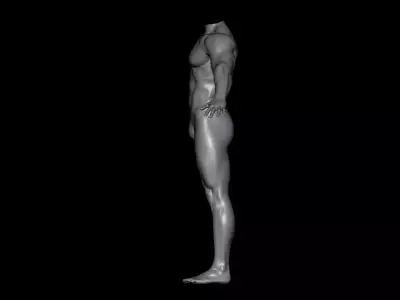Human body 3D model