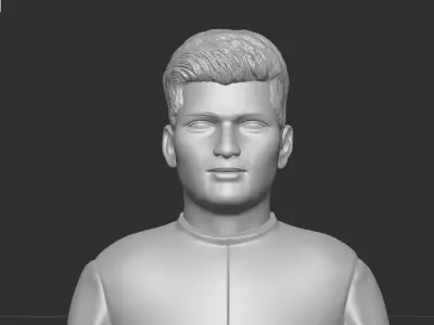 Max Verstappen 3D print model