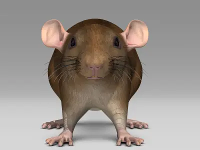 Rat - Brown 3D model