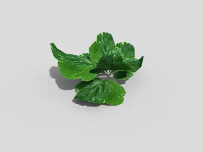 Low poly Plant leaf Low-poly 3D model
