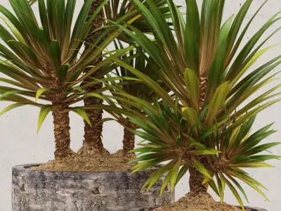 Restoration Hardware corso planter 3D model