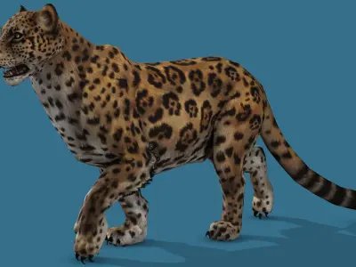 JAGUAR RIGGED ANIMATED 13 Low-poly 3D model