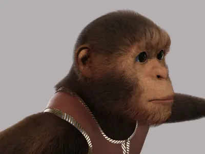 Cartoon Monkey NoRig 3D model