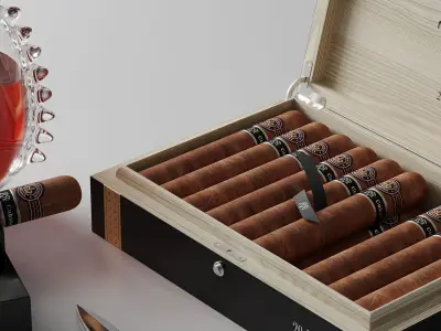 Set of wine and cigarettes 3D model