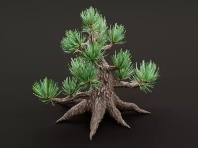 Stylized Pine Bonsai Tree Low-poly 3D model