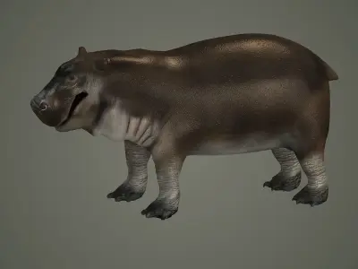 animal hippo baby cute small  wildlife hippopotamus africa  3D model