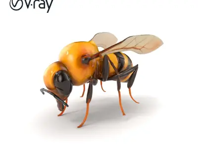Dwarf Bee Intricate Detail Model Pack Low-poly 3D model