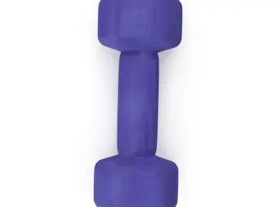 Dumbell-3kg 3D model