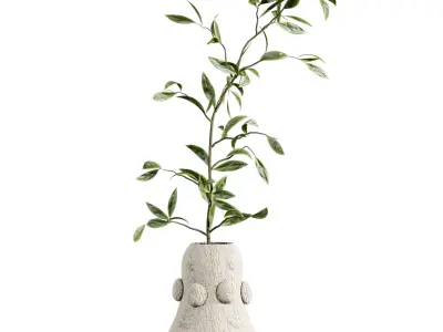 bouquet set 3D model shop