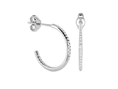 Women earrings model 3D print model