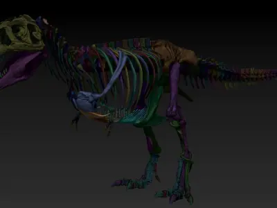 Dinosaur  Tyrannosaurus Rex Complete Skeletons TREX Adult SUE 3D model