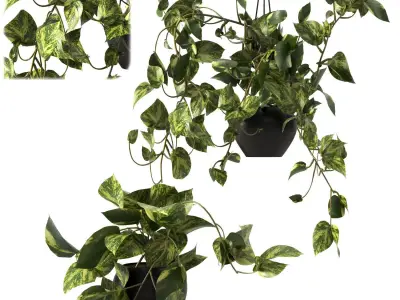 pendant plant 3D model