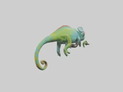 Chameleon climbing branch model Low-poly 3D model