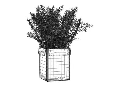 Pot Plant Nr 14 3D model