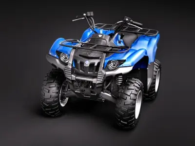 Yamaha Grizzly 700FI 2009 3D model