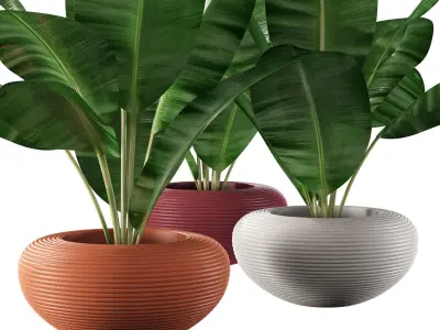 qeeboo nami planter 3D model