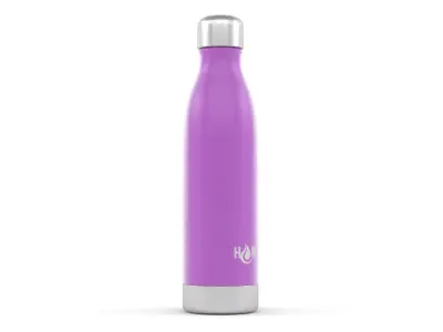 Water Bottle 3D model
