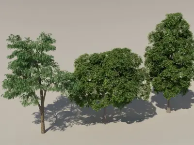 Set Trees Free 3D model