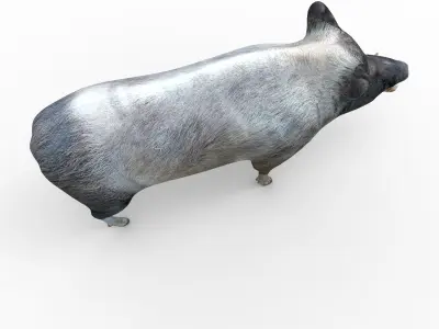  low poly model Boar 3d Rigged  Low-poly 3D model