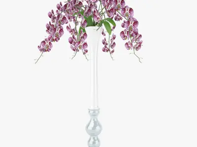 Orchid Flowers in Vase 3D Model 3D model