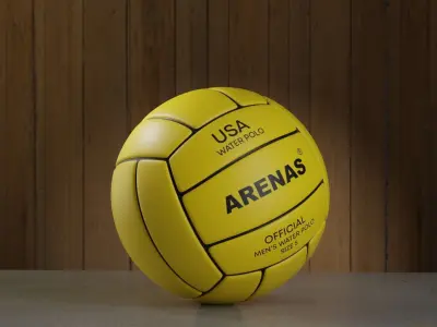 Water Polo Ball 3D model