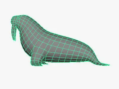 Low Poly Walrus Low-poly 3D model