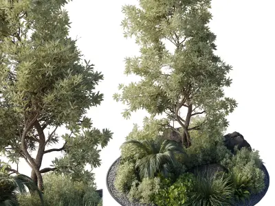 Collection outdoor indoor pot plant  tree  bush the garden pot  3D model